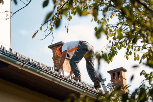 Gutter Installation and Roofing in Albion, NY